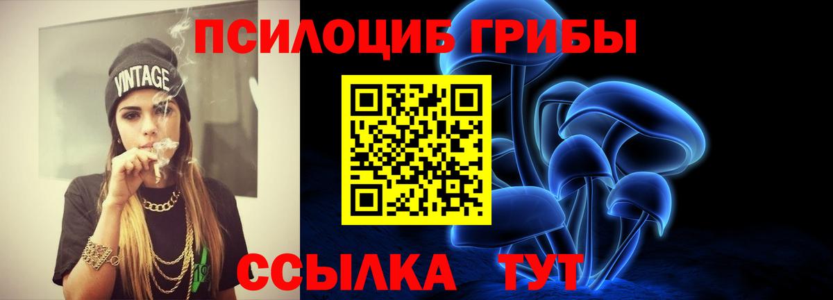 Волгоград  Галлюциногенные грибы GOLDEN TEACHER  Вход с VPN  Галлюциногенные грибы MAGIC MUSHROOMS 